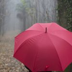 Parapluie de berger : l’authenticité au service de la robustesse et du savoir-faire français