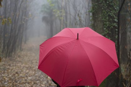 Parapluie de berger : l’authenticité au service de la robustesse et du savoir-faire français