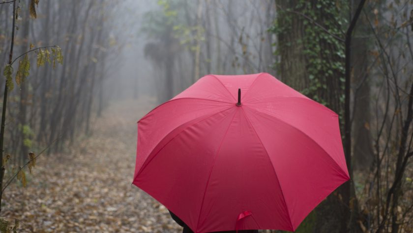 Parapluie de berger : l’authenticité au service de la robustesse et du savoir-faire français